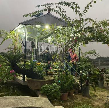 Bán 3000m2 đất Văn Bình Thường Tín, sát Quán Gánh sẵn nhà vườn siêu đẹp.
