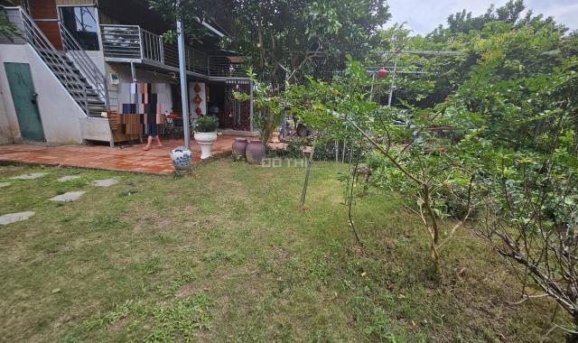 Cho thuê nhà vườn ở Tứ liên 3.350m2 để nghỉ dưỡng hoặc làm homestay