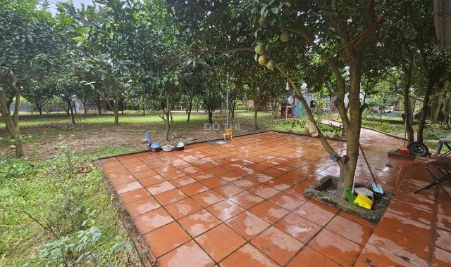 Cho thuê nhà vườn ở Tứ liên 3.350m2 để nghỉ dưỡng hoặc làm homestay