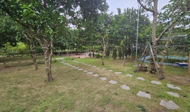 Cho thuê nhà vườn ở Tứ liên 3.350m2 để nghỉ dưỡng hoặc làm homestay