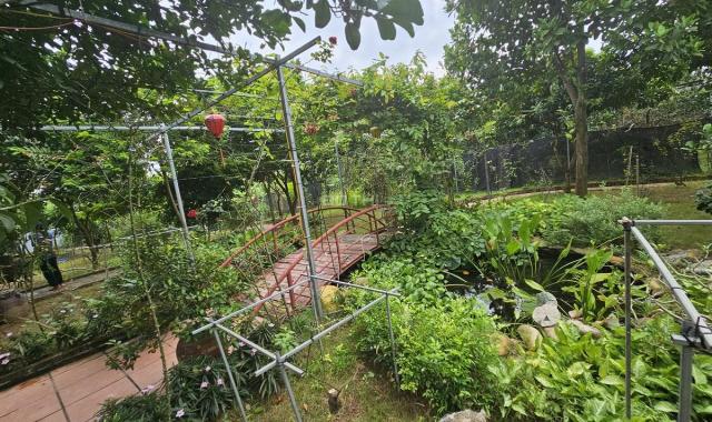 Cho thuê nhà vườn ở Tứ liên 3.350m2 để nghỉ dưỡng hoặc làm homestay