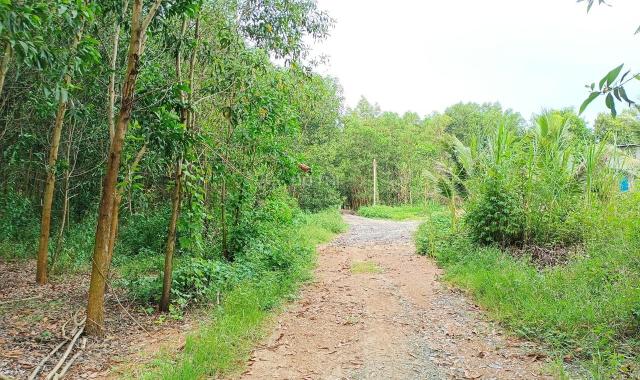 Bán đất 41.000m2 làm nhà vườn, nhà kính, trang trại chăn nuôi xã Khánh Nam, Khánh Vĩnh giá rẻ