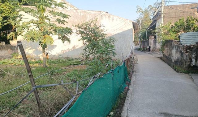 Chỉ 950tr có ngay hơn 40m2 đất Thanh Oai, HN ngay sát vành đai 4.