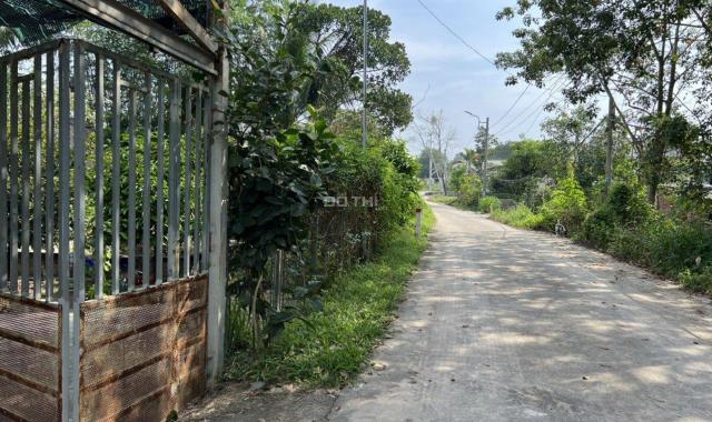 Cho thuê nhà vườn 1800m giá rẻ tại Ấp Long Hưng, Xã Long Nguyên, Huyện Bàu Bàng, Bình Dương.