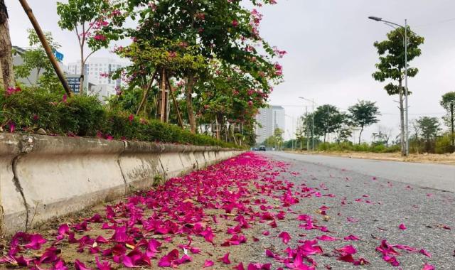 Cần bán ô liền kề góc vườn hoa đường 46m tại kdt Thanh Hà Cienco5