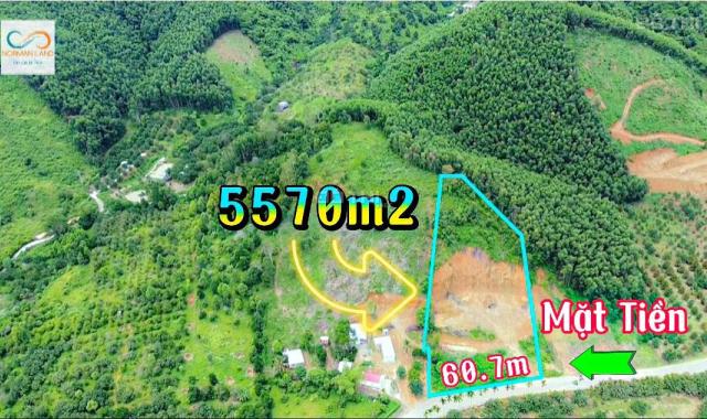 Bán 5.500m2 quy hoạch full thổ cư ngang 60m đường nhựa HL62 xã Khánh Phú, Khánh Vĩnh
