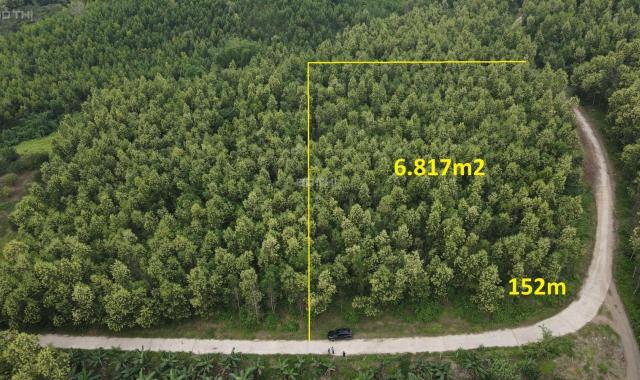 Bán đất mặt tiền 150m ngang rộng 6.800m có sẵn keo 2 năm tuổi xã Khánh Nam, Khánh Vĩnh giá rẻ