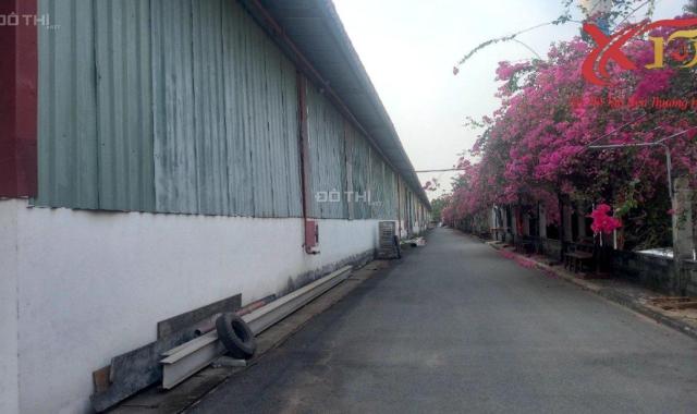 Bán nhà xưởng 19.881m2 Giá chỉ 80 tỷ -P.Tam Phước-TP.Biên Hòa-Đồng Nai