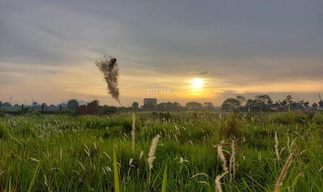 Cần chuyển nhượng resort sinh thái dự án SUNSHINE HERITAGE RESORT HÀ NỘI