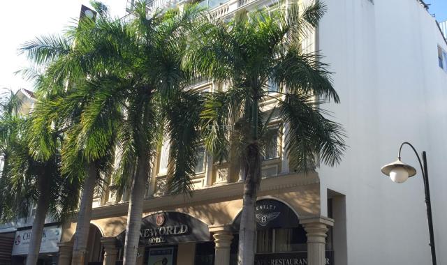 Khách sạn Phú Mỹ Hưng, Quận 7, tiêu chuẩn 2 sao, 30 phòng cần cho thuê