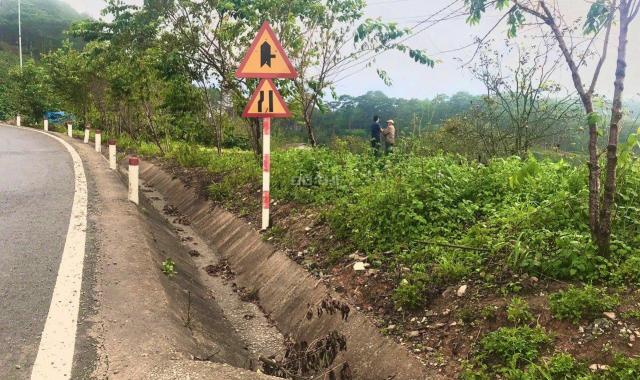 CẦN TIỀN BÁN 1.1HA LÔ ĐẤT XUÂN TRƯỜNG MT QUỐC LỘ 20 CÁCH CHỢ ĐÀ LẠT 17KM. GIÁ 35TY GIẢM CÒN 20TY