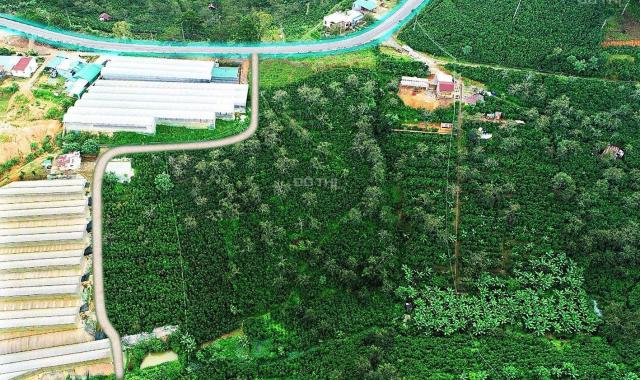 CẦN TIỀN BÁN 1.1HA LÔ ĐẤT XUÂN TRƯỜNG MT QUỐC LỘ 20 CÁCH CHỢ ĐÀ LẠT 17KM. GIÁ 35TY GIẢM CÒN 20TY