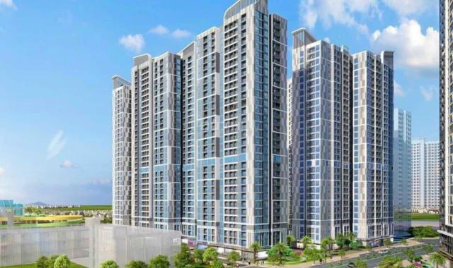 CC cần bán căn hộ 1PN 45m² tòa P2 - Pavilion Vinhomes Ocean Park Gia Lâm, Hà Nội