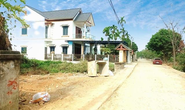 SIÊU HIẾM VIEW CÁNH ĐỒNG GIÁ HẠT RẺ PHÚ CÁT - QUỐC OAI - HÀ NỘI