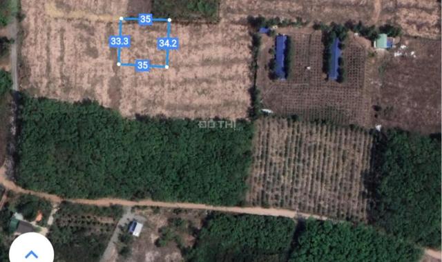 Bán 25.000m đất sổ sẵn sang tên tổng 24 sổ Quảng Tiến, gần thị trấn Trảng Bom. Chỉ hơn 1tr/m