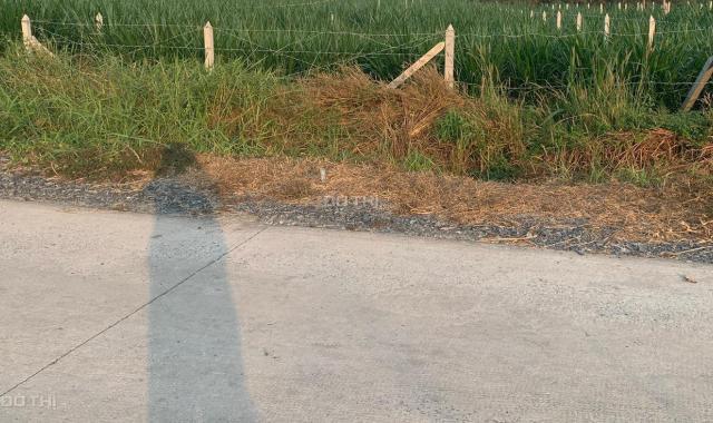 Bán lô đất MT đường Bê tông xe tải hẻm Nguyễn Thị Nê, dt 545m, 100% thổ cư, xã Phú Hòa Đông, Củ Chi