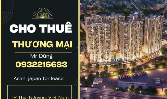 Cho thuê cửa hàng, ki ốt tại Dự án Tecco Elite City, Thái Nguyên, Thái Nguyên diện tích 3000m2 giá 
