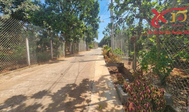 Bán vườn sầu riêng 8.000m2 Xã Xuân Bảo, huyện Cẩm Mỹ, tỉnh Đồng Nai giá tốt có 1,2 tỷ/sào