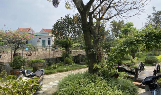 Chính chủ cần tiền bán nhà vườn tại khu du lịch sinh thái Hồng Vân - Thường Tín - Hà Nội.