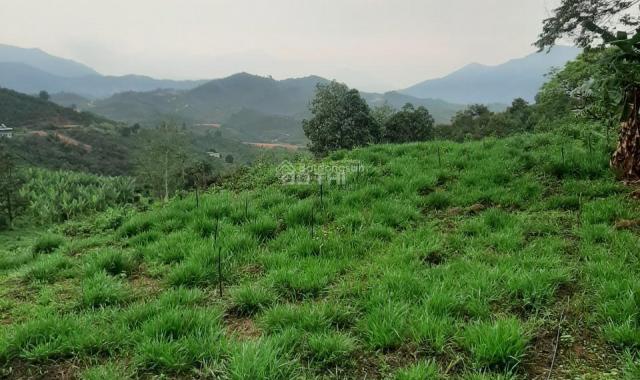 Bán 2 hecta đất view đẹp, sinh lời cao, nhiều tiềm năng tại Lộc Thành, Bảo Lâm, Lâm Đồng