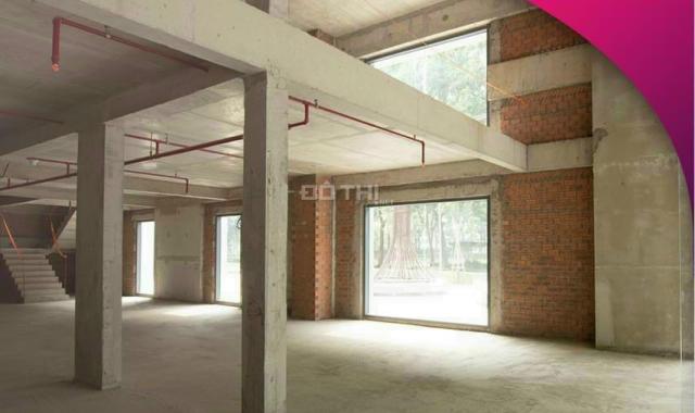 Shophouse Celadon Tân Phú 200 - 700m2, 1 trệt+1 lửng,mặt tiền KD 62m,sẵn HĐ thuê lợi nhuận 5-7%/năm