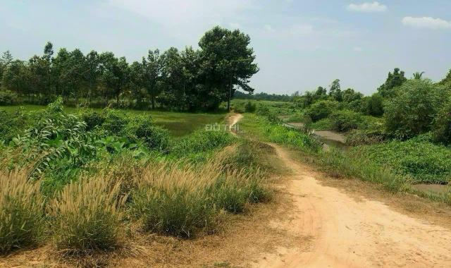 Bán đất Củ Chi, lô đất mặt tiền đường kênh, dt 4.213m2 đất vườn, xã An Phú