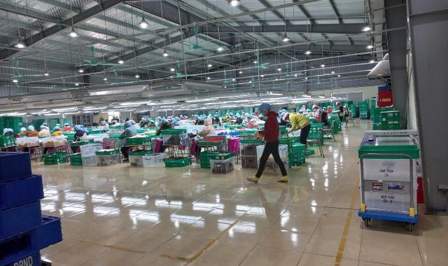 TRANSFER OF THE ENTIRE FACTORY in NAM DINH PROVINCE