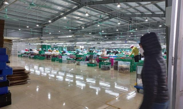 TRANSFER OF THE ENTIRE FACTORY in NAM DINH PROVINCE