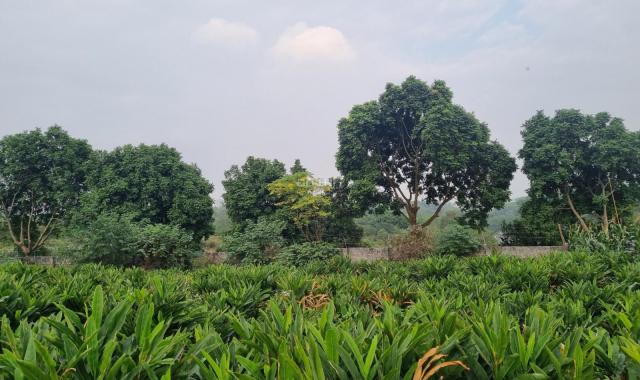 Bán nhanh 2852m2 đất thổ cư giá rẻ nằm ngay cạnh sân golf Skylake tại  Lương Sơn, Hòa Bình.