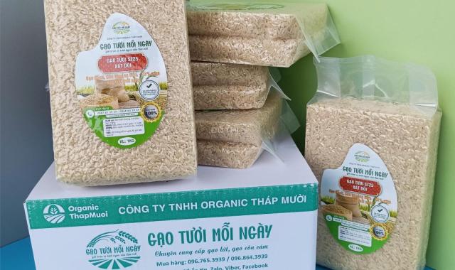 Gạo XÁT DỐI ST25 lúa tôm – Nguồn dinh dưỡng bị lãng quên, Miễn Phí Giao Hàng Toàn Quốc