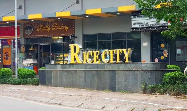 Bán căn hộ Linh Đàm - Rice City, 2 ngù 2 vệ sinh, 70m2, full nội thất cao cấp. Giá 3,4 tỷ