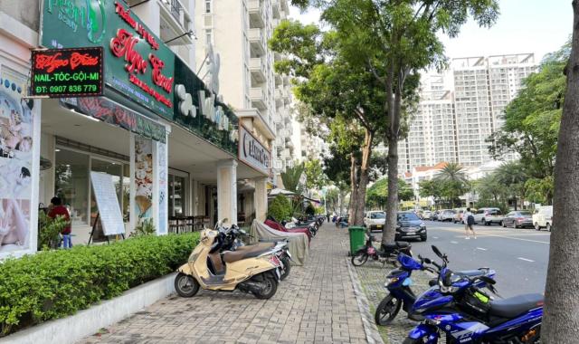 Bán Căn Hộ Chung Cư PARK VIEW, Phú Mỹ Hưng Quận 7 Nhà Đẹp Mới