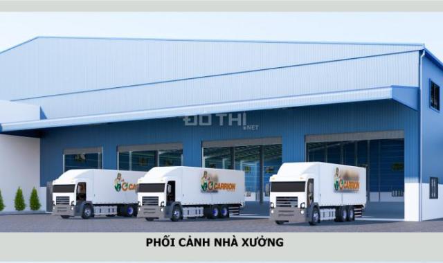 Cho thuê nhà xưởng diện tích 5.400 m2 huyện Tân Phước Tiền Giang.