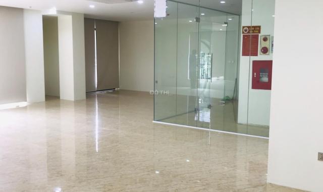 Cho thuê sàn văn phòng 120 m2/tầng, mặt tiền 12m, sàn thông đẹp