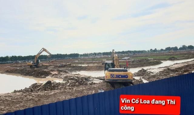 LÃI TO NẾU MUA ĐƯỢC MẢNH NÀY. ĐẤT ĐÔNG ANH, HÀ NỘI