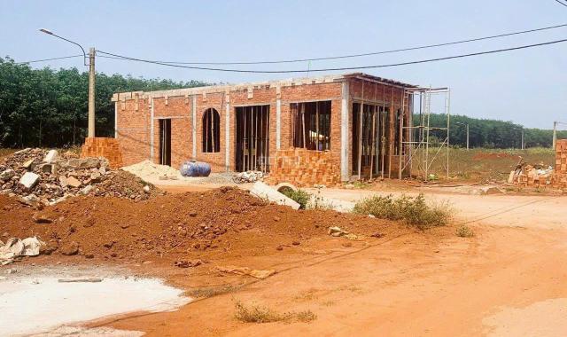 Bán đất nền dự án tại Xã Phú Lộc, Krông Năng, Đắk Lắk diện tích 132m2