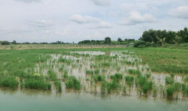 Bán đất vườn , thổ cư Đường Kênh cửa đông P2 ,Kiến Tường, Long An giá 4ty hết đất