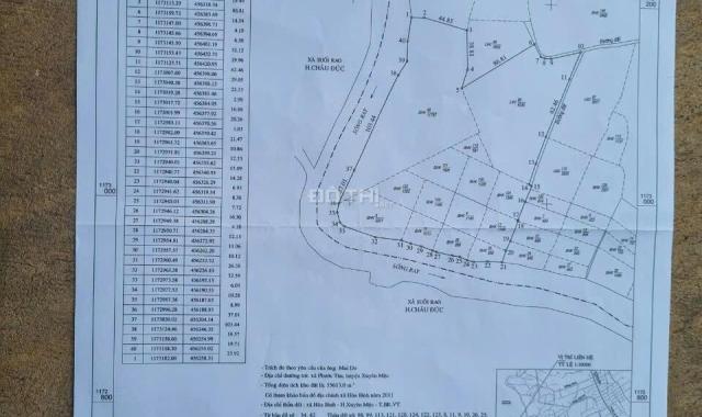 Bán 35,613m (hơn 3,5 hecta) Xuyên Mộc, Bà Rịa, Vũng Tàu.