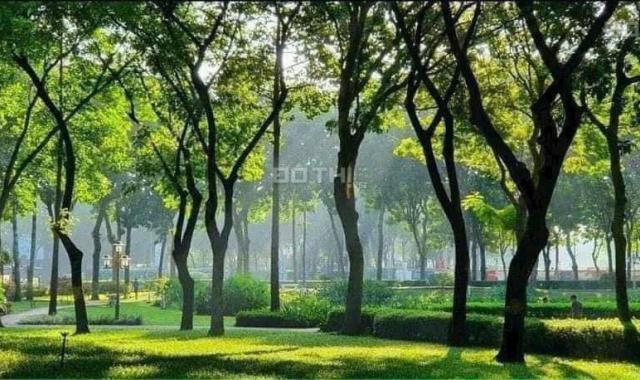 Giỏ hàng Diamond - Celadon City mua trực tiếp từ CĐT chiết khấu 17%, nhà mới ở ngay, LH 0908567786