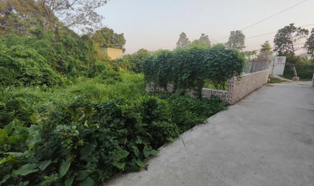 Bán đất Phú Thị tương lai ra mặt đường trục chính có vỉa hè