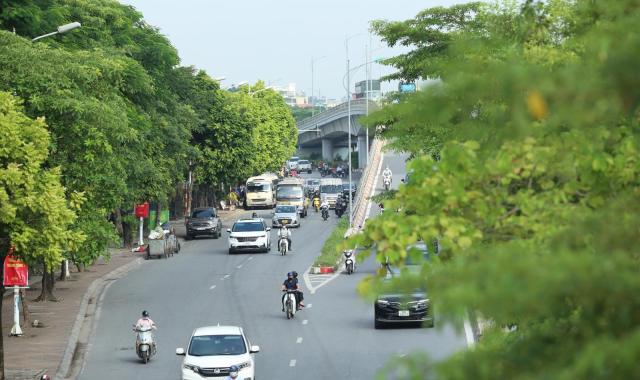 Bán đất Tư Đình, 50m2, MT: 4m, ô tô vào trong đất, cách phố 20m