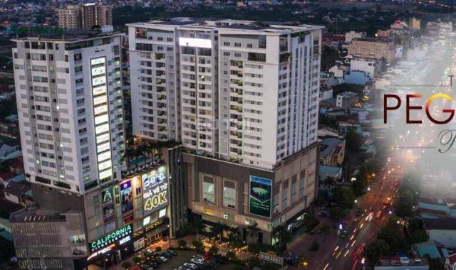 Bán căn penthouse siêu rộng đẹp nhất tại Pegasus Plaza Mặt tiền Võ Thị Sáu Trung tâm D2D