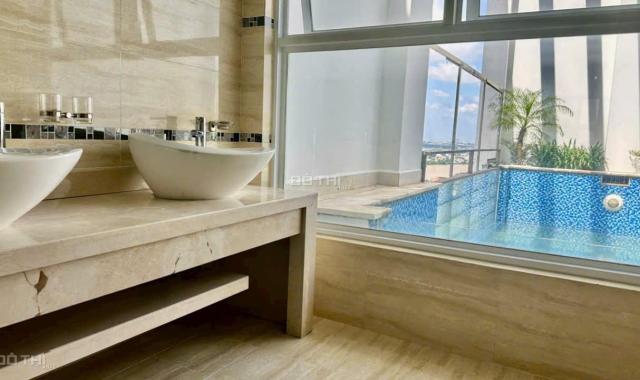 Bán căn penthouse siêu rộng đẹp nhất tại Pegasus Plaza Mặt tiền Võ Thị Sáu Trung tâm D2D