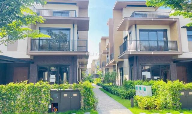 Izumi City – Môi Trường Sống Lý Tưởng Cho Những Nhà Đầu Tư Tầm Cỡ