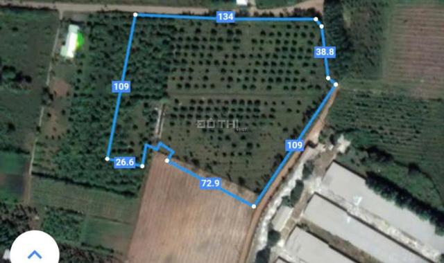 Bán 1,6ha Đất Tại Xuân Thành, Xuân Lộc - Vị Trí Đẹp Đường Lớn