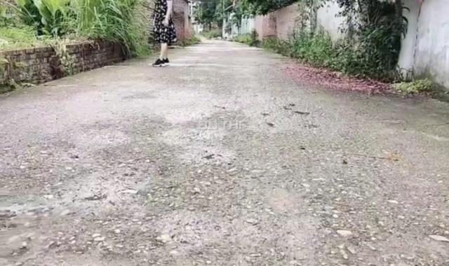 HÀNG SIÊU HIẾM 60M THÔN PHÚ CƯỜNG MINH PHÚ SÓC SƠN 0987785686