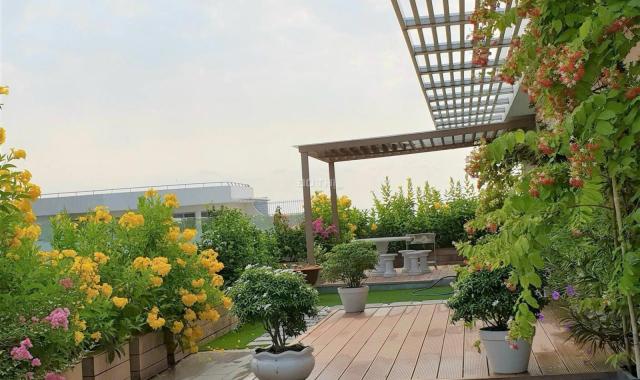 Bán căn hộ penhouse Riverpark Residence 534m2, 2 lầu, có sân vườn rộng