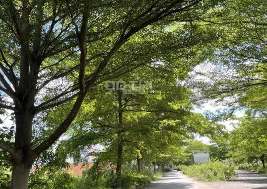 Bán nhanh các lô đất dự án Thời Báo Kinh Tế, P. Phú Hữu, TP Thủ Đức, sổ đỏ riêng, vị trí đẹp