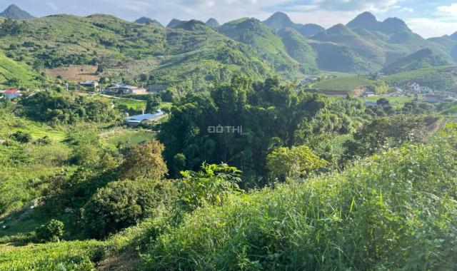 Siêu phẩm đất nghỉ dưỡng 1,2ha tại Mộc Châu, View đồi chè tuyệt đẹp, độc nhất thị trường