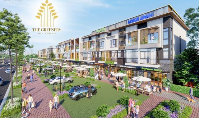 Dự án mới giá gốc chủ đầu tư The Greenery Hải Phòng, ngay chân cầu Nguyễn Trãi. Giá cực tốt